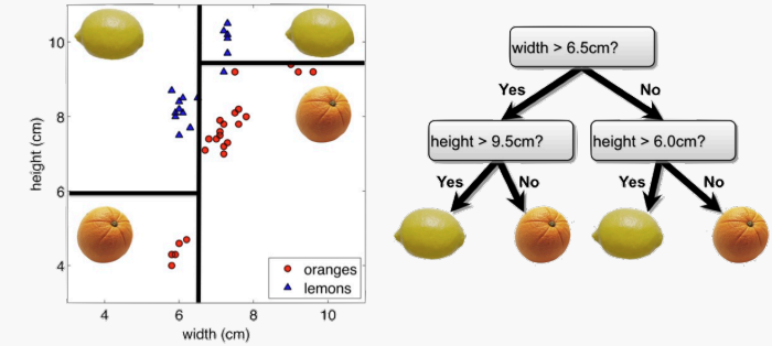 decision_trees.png